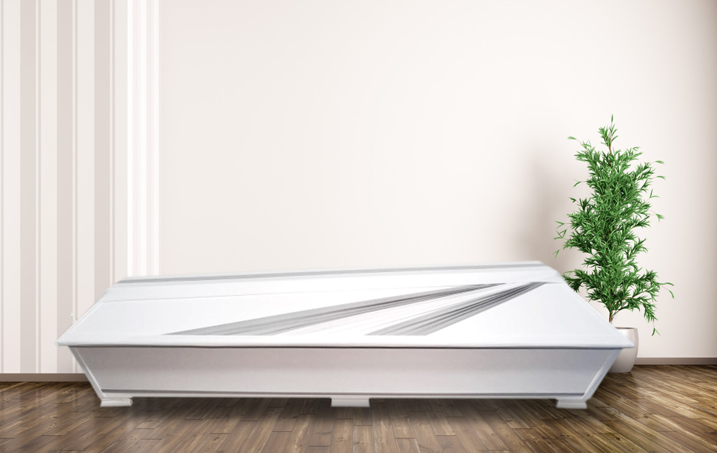 Coffin with a wing