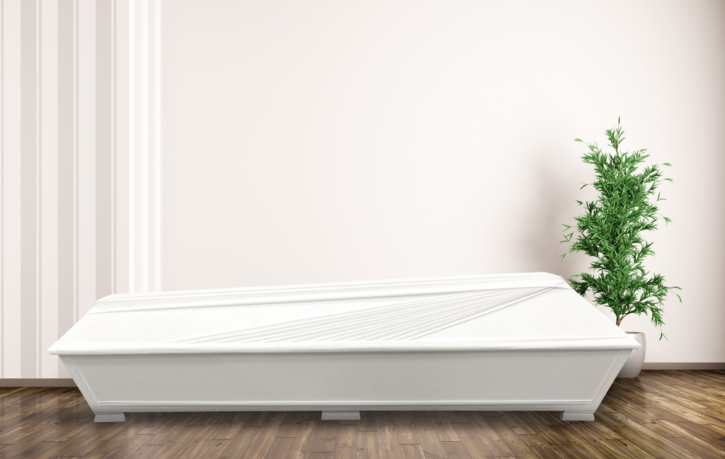 Coffin with leaves illustration