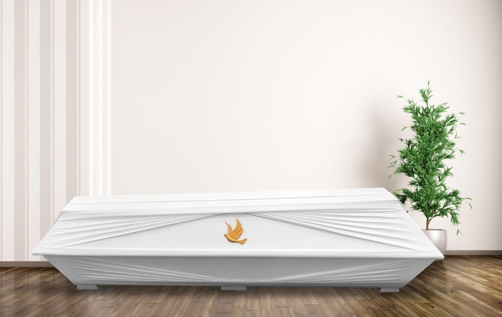 Säteet kulmissa arkku ja 3D lintu motiivi