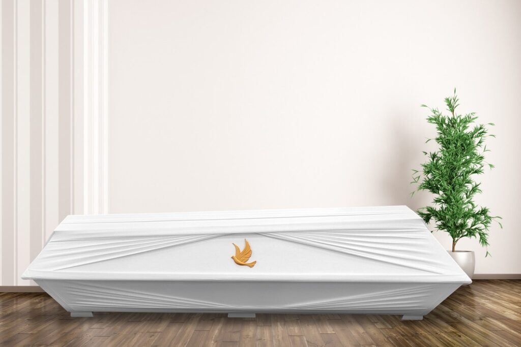 Coffin with 3D bird illustration