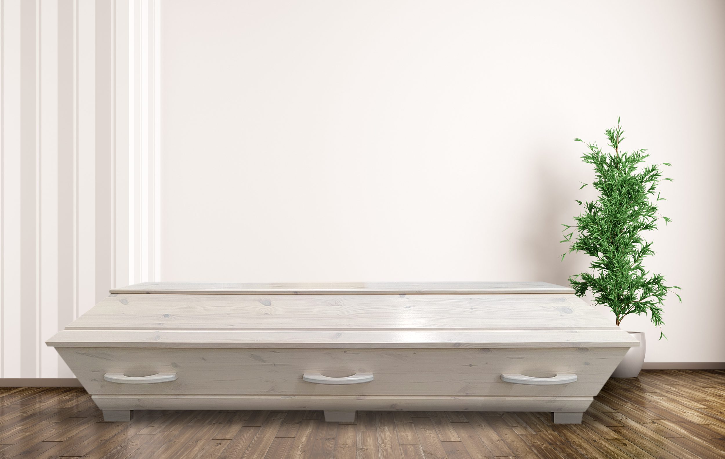 Männikirst H10 - Image 4